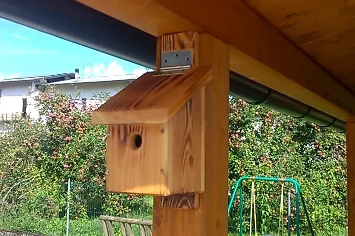 casetta per uccelli in legno