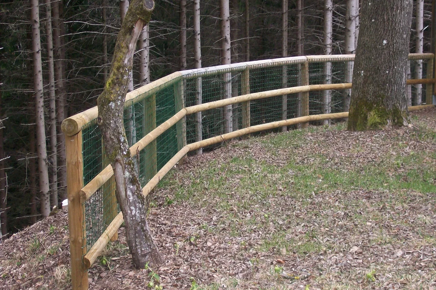 Balaustra in legno con passamano e 2 file di mezzi pali
