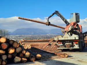 Lavorazioni esterno Segheria