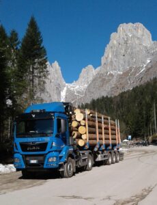 Trasporto tronchi